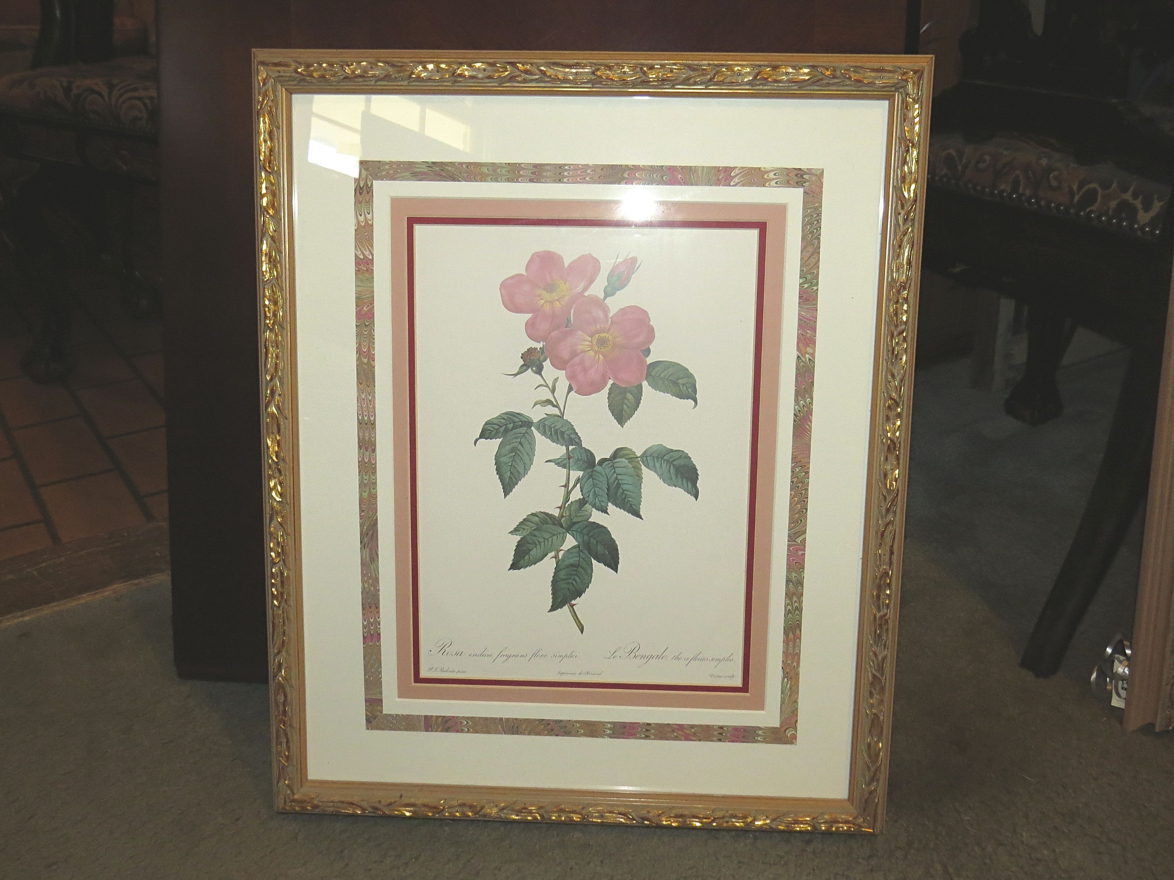 A Collection of 4 Framed Prints of Roses