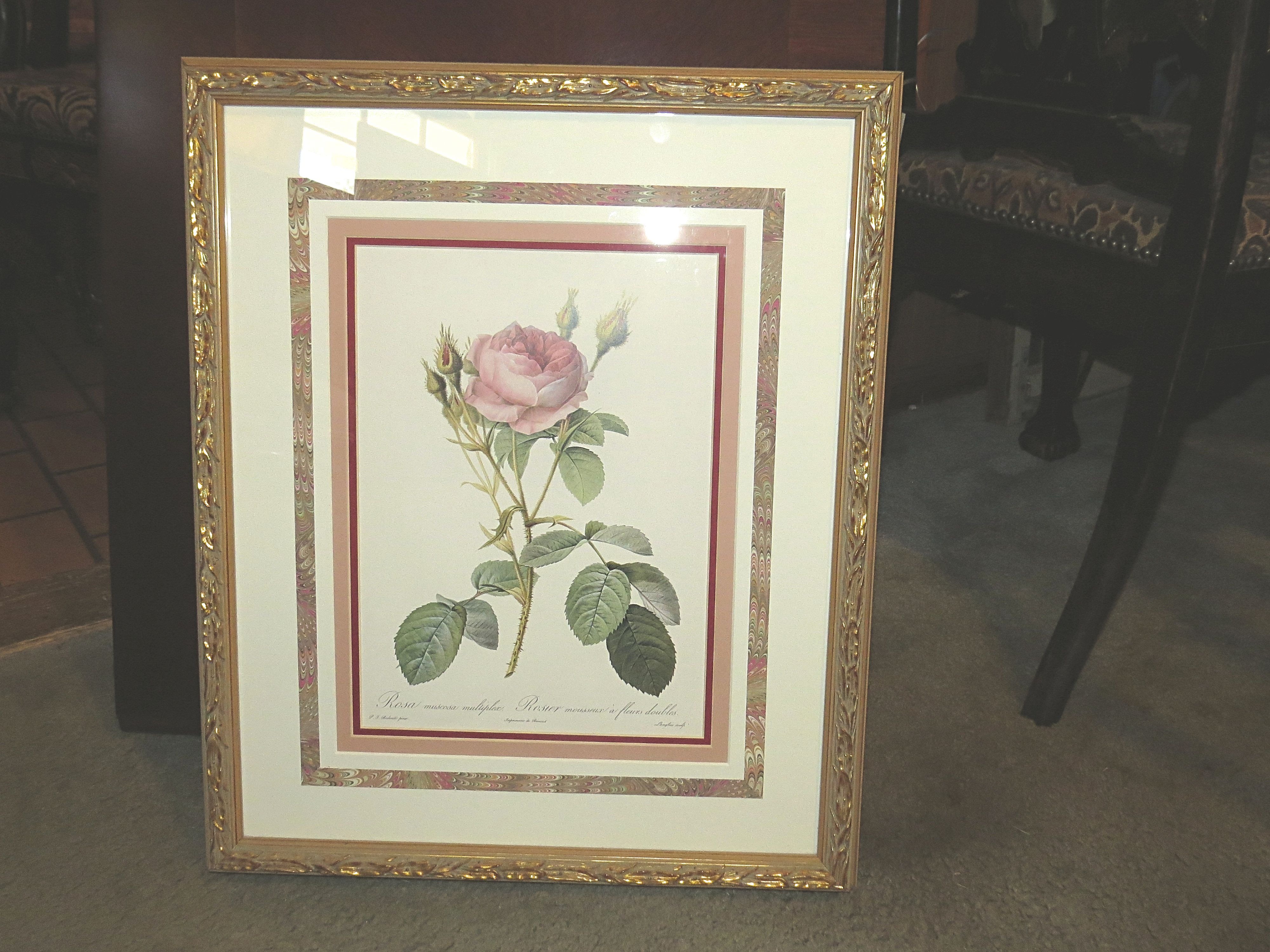 A Collection of 4 Framed Prints of Roses